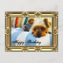 Search for funny yorkie cards Animal