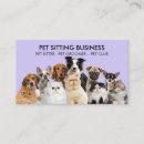 Search for funny cat business cards Dog