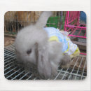 Search for rabbit lover mousepads Kawaii