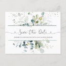 Search for eucalyptus postcards Foliage