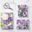 Search for flora wrapping paper Colourful