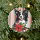 Search for border collie christmas tree decorations Watercolor