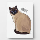 Search for cat plaques Pet