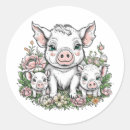 Search for cute piglet stickers Pigs