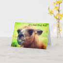 Search for another birthday cards Funny