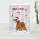 Search for irish christmas cards Dog