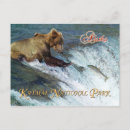 Search for catch horizontal postcards Salmon