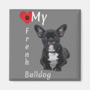 Search for bulldog magnets Dogs