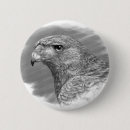 Search for drawing round badges Hawk