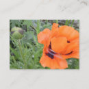 Search for image enclosure cards Blank