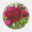 Search for peony christmas tree decorations Flowers
