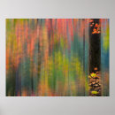 Search for maples posters Forest