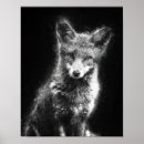 Search for black and white fox posters Drawing