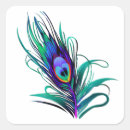 Search for feather stickers Peacock