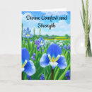 Search for comfortable cards Blue