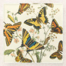 Search for butterfly coasters Wings
