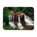Search for west virginia magnets Forest