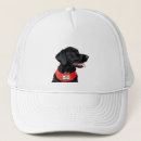 Search for labradors hats Pet