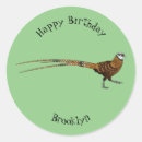 Search for pheasant stickers Bird