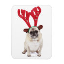 Search for people christmas cards Pets