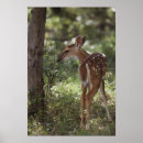 Search for juvenile posters Baby