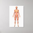 Search for female body canvas prints Digitally generated image