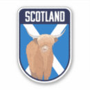 Search for scottish highland cattle stickers Scotland