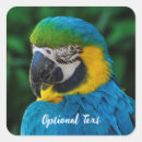 Search for macaw parrot stickers Pet