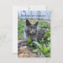 Search for funny animal cards Hilarious