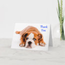 Search for thank you for your kindness Puppy