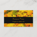 Search for autumn maple Leaf