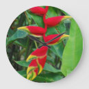 Search for heliconia posters Green
