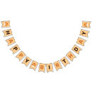 Search for baby name bunting flags Boy