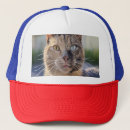 Search for “cat hats For pets