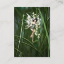 Search for myth business cards Fantasy