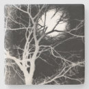 Search for moonlight kitchen dining Trees