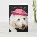 Search for cowgirl cards Cowboy