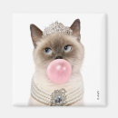 Search for bubble gum magnets Funny