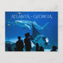 Search for ray postcards Dive