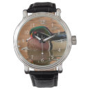 Search for avian watches Danita delimont