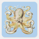 Search for vintage octopus stickers Ernst haeckel