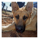 Search for tired dog art Sleepy