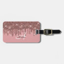 Search for stainless steel luggage tags Sparkle