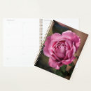 Search for angele planners Roses