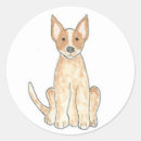 Search for australian heeler stickers Acd