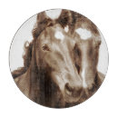 Search for photography cookware Animals