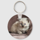 Search for fluffy kitten key rings Cute