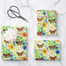 Search for butterflies wrapping paper Daisies