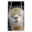 Search for alpaca gift bags Animal