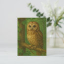 Search for watcher postcards Owl